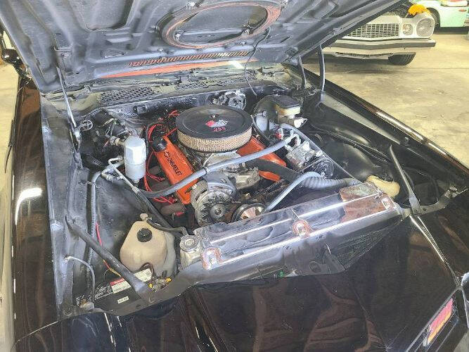 1981 Chevrolet Camaro Z28