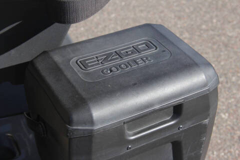 2020 E-Z-GO RXV ELiTE