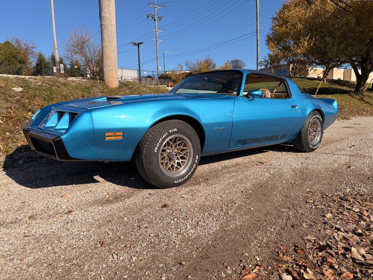 1979 Pontiac Firebird 4