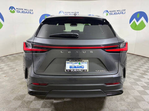 2024 Lexus NX 250