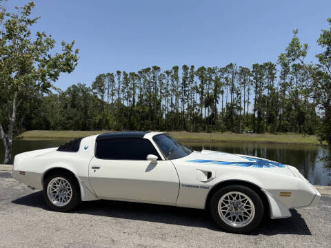 1981 Pontiac Firebird Trans Am
