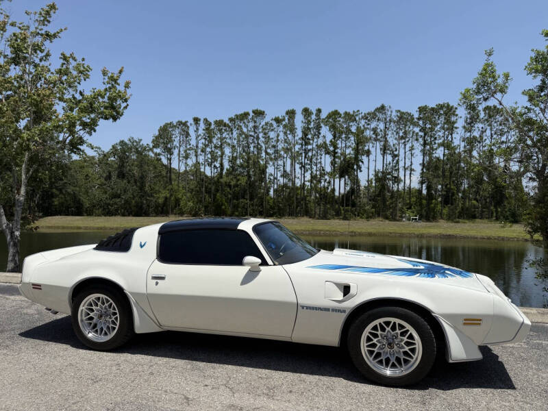 1981 Pontiac Firebird Trans Am