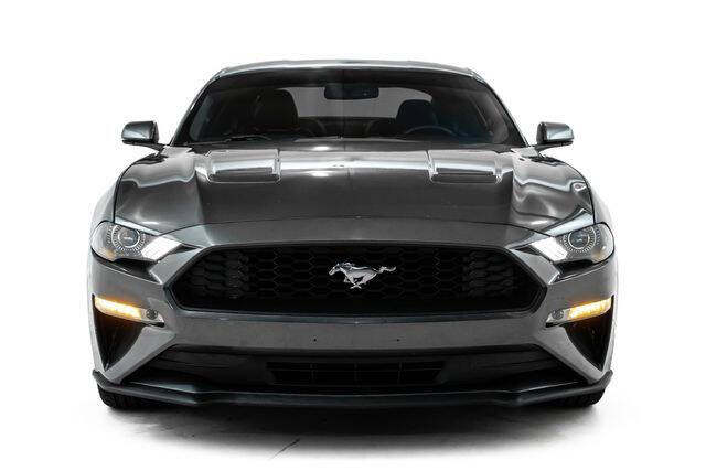 2019 Ford Mustang