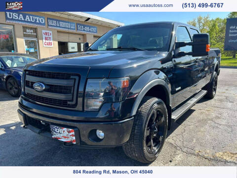 2014 Ford F-150 for sale at USA Auto Sales & Services, LLC in Mason OH