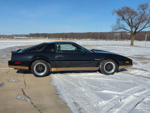 1982 Pontiac Firebird Trans Am