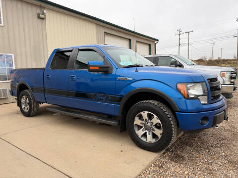 2014 Ford F-150 FX4