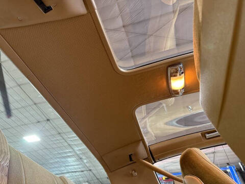 1981 Pontiac Firebird Trans Am