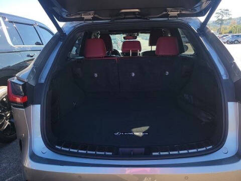 2024 Lexus NX 250 Premium