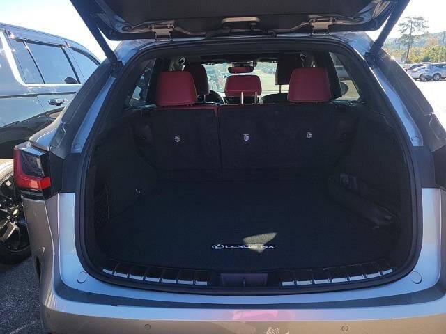 2024 Lexus NX 250 Premium