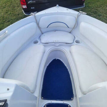 1996 Chris-Craft 18.5 Concept