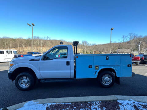 2016 Ford F-250 Super Duty for sale at Griffith Auto Sales LLC in Home PA