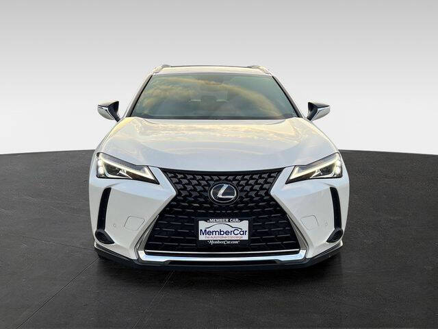 2019 Lexus UX 250h Luxury