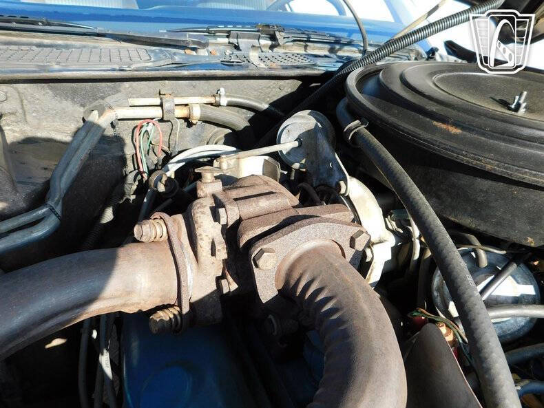 1981 Pontiac Firebird Trans Am