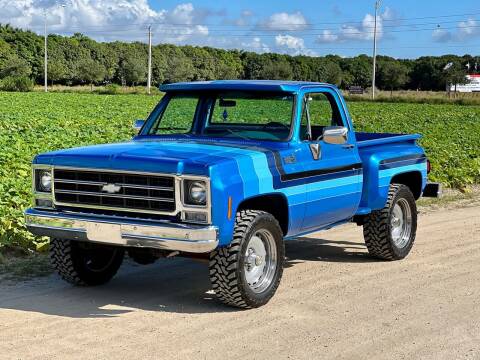 1979 Chevrolet C/K 10 Series for sale at Vintage Point Corp in Miami FL