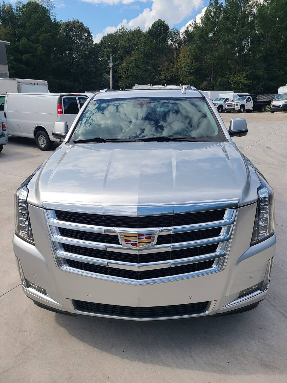 2020 Cadillac Escalade for sale at PAKK AUTOMOTIVE in Peachland, NC