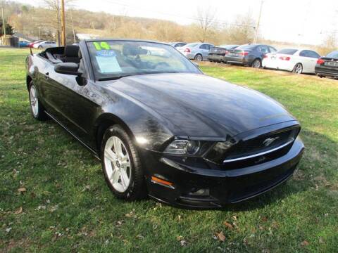 2014 Ford Mustang for sale at Euro Asian Cars in Knoxville TN