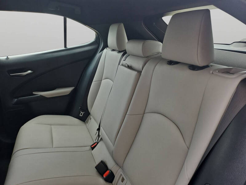 2020 Lexus UX 250h
