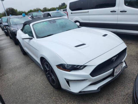 2022 Ford Mustang for sale at Byrd Dawgs Automotive Group LLC in Mableton GA