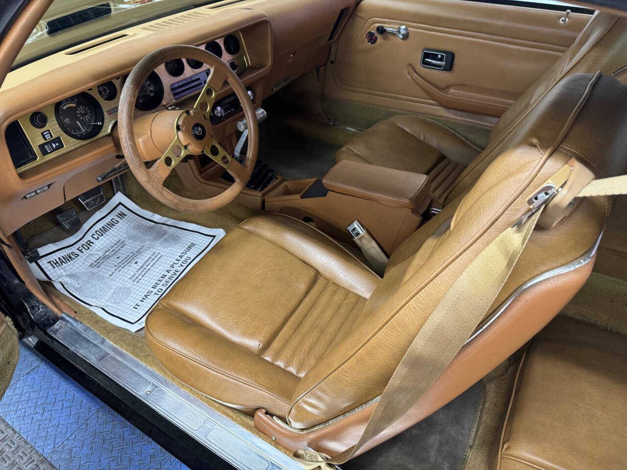 1979 Pontiac Firebird 14