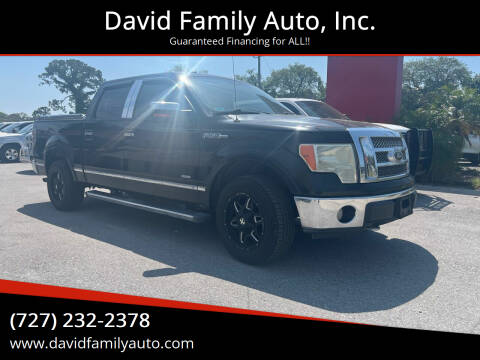 2010 Ford F-150 for sale at David Family Auto, Inc. in New Port Richey FL
