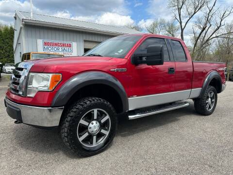 2011 Ford F-150 for sale at HOLLINGSHEAD MOTOR SALES in Cambridge OH