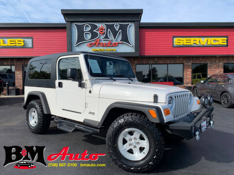 2004 Jeep Wrangler for sale at B & M Auto Sales Inc. in Oak Forest IL
