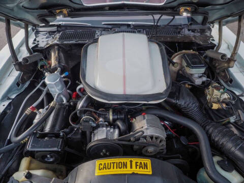 1981 Pontiac Firebird Trans Am