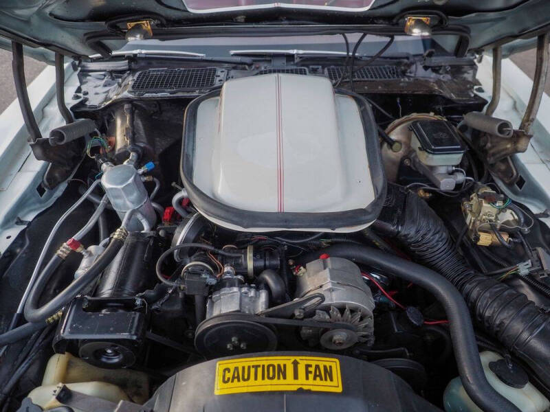 1981 Pontiac Firebird Trans Am