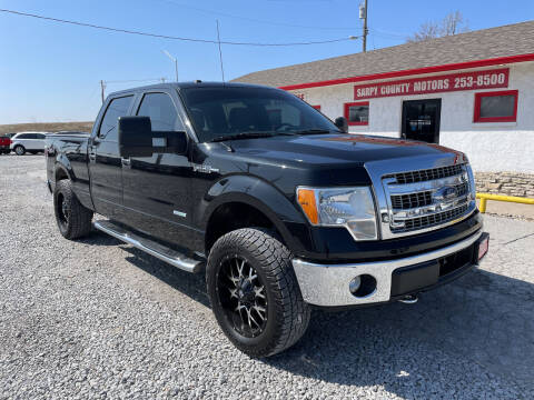 2014 Ford F-150 for sale at Sarpy County Motors in Springfield NE