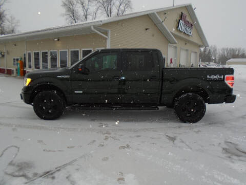 2013 Ford F-150 for sale at Milaca Motors in Milaca MN