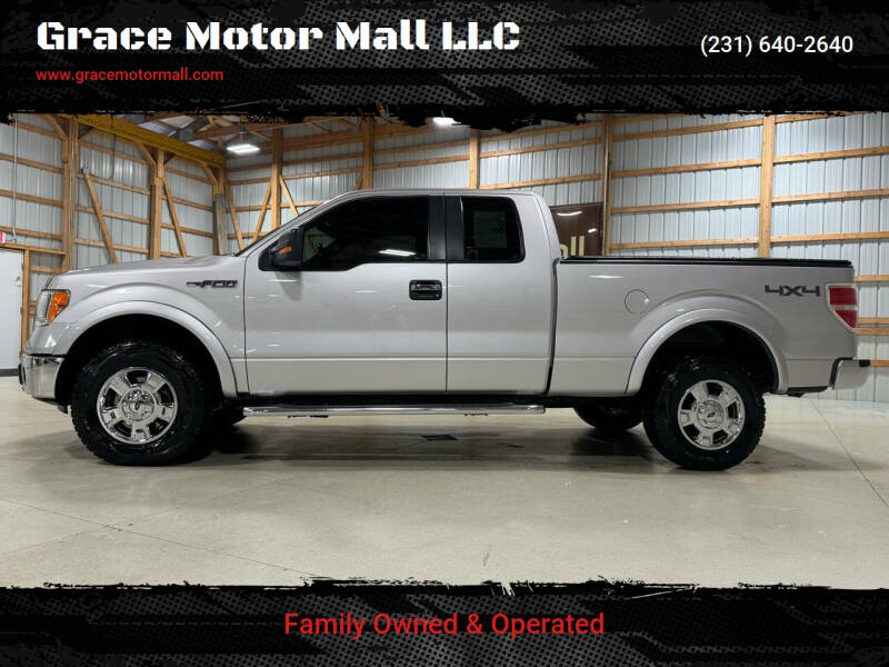 2014 Ford F-150 for sale at Grace Motor Mall LLC in Traverse City MI