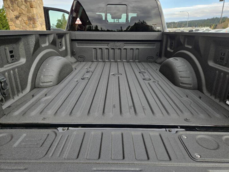 2025 Ford F-250 Super Duty Platinum - Photo 21