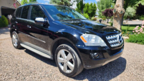 2010 Mercedes-Benz M-Class for sale at Sand Mountain Motors in Fallon NV