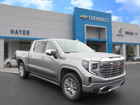2023 GMC Sierra 1500 for sale at HAYES CHEVROLET Buick GMC Cadillac Inc in Alto GA