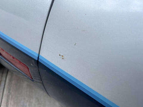 1981 Chevrolet Corvette