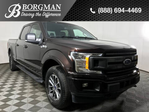 2020 Ford F-150 for sale at BORGMAN OF HOLLAND LLC in Holland MI