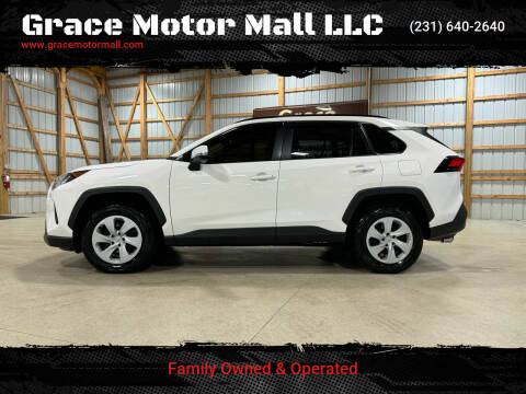 2020 Toyota RAV4 for sale at Grace Motor Mall LLC in Traverse City MI