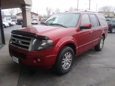 2014 Ford Expedition for sale at Village Auto Outlet in Milan IL