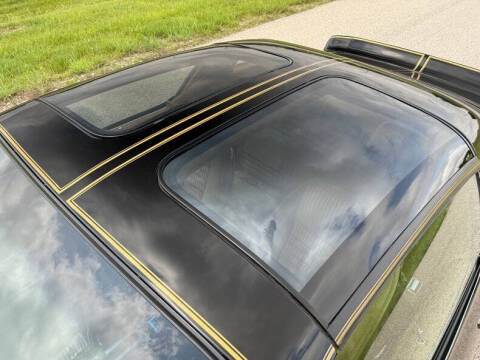 1981 Pontiac Firebird Trans Am