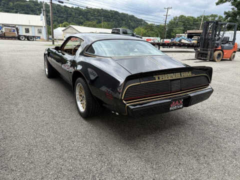1981 Pontiac Firebird Trans Am