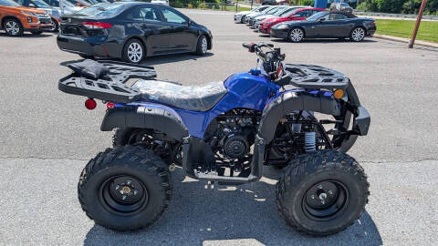 2025 TrailMaster 200 Utility
