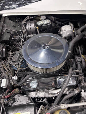 1981 Chevrolet Corvette