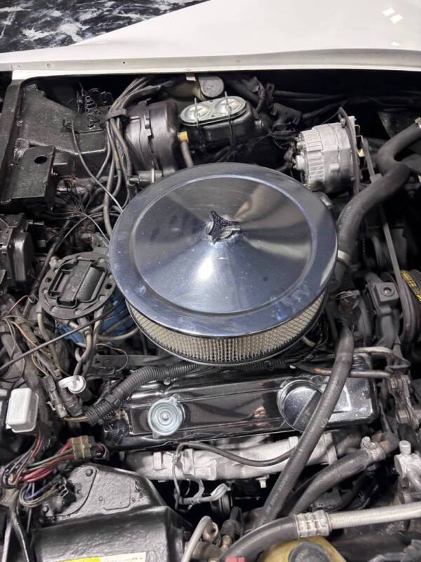 1981 Chevrolet Corvette