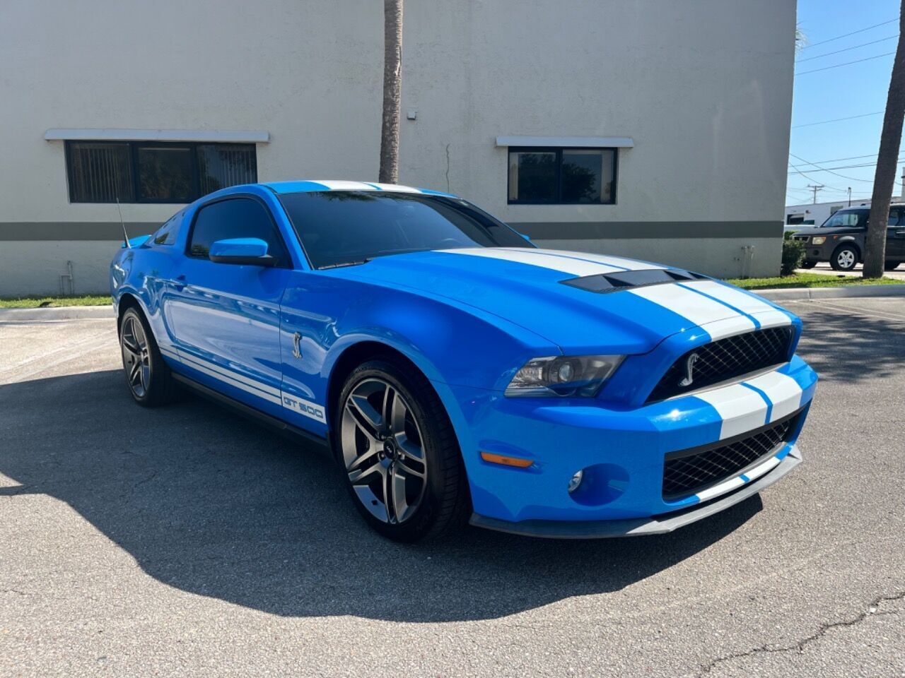 2010 Ford Shelby GT500 Base