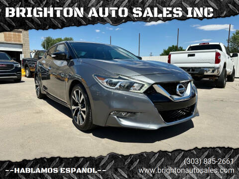 2017 Nissan Maxima for sale at BRIGHTON AUTO SALES INC in Brighton CO