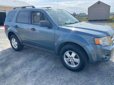 2012 Ford Escape for sale at Shoreline Auto Sales LLC in Berlin MD