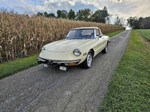 1973 Alfa Romeo Spider for sale at Classic Car Deals in Cadillac MI