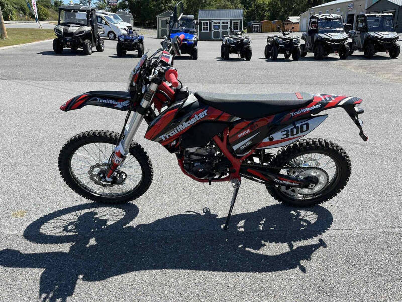 2024 TrailMaster TM38EX-300