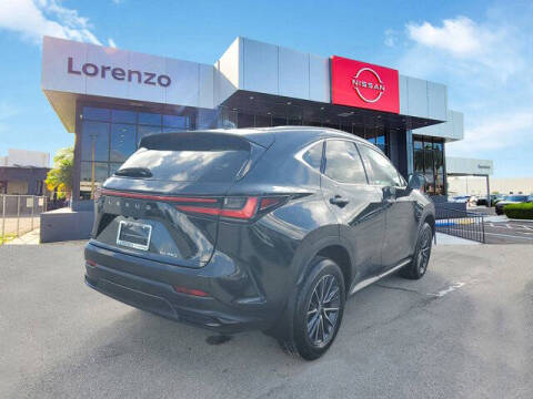 2025 Lexus NX 250 Premium