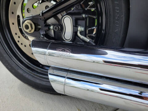 2009 Harley-Davidson FLSTSB - Cross Bones™
